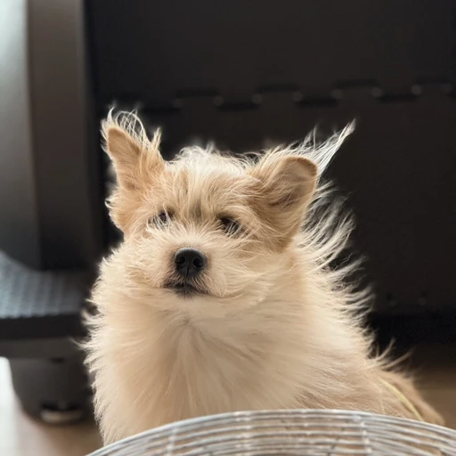 kch53454's profile photo